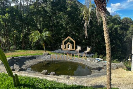 caledonica24-